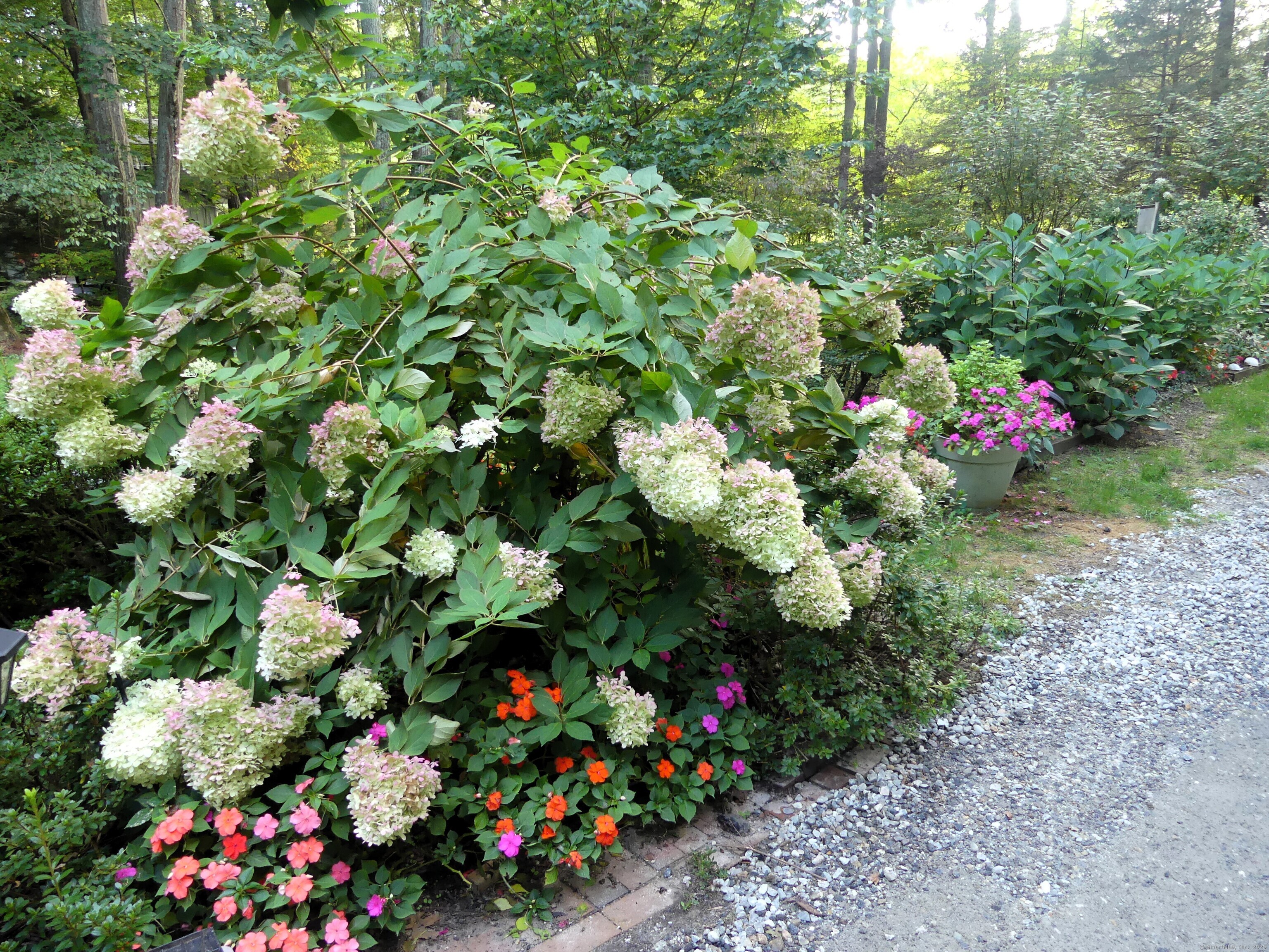 4 Timber Trail Columbia CT 06237