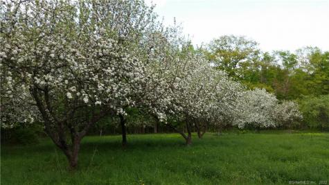 21 Legeyt Road Barkhamsted CT 06063