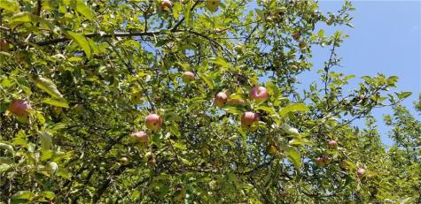 21 Legeyt Road Barkhamsted CT 06063