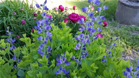 21 Legeyt Road Barkhamsted CT 06063