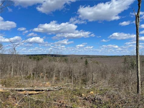 21 Legeyt Road Barkhamsted CT 06063