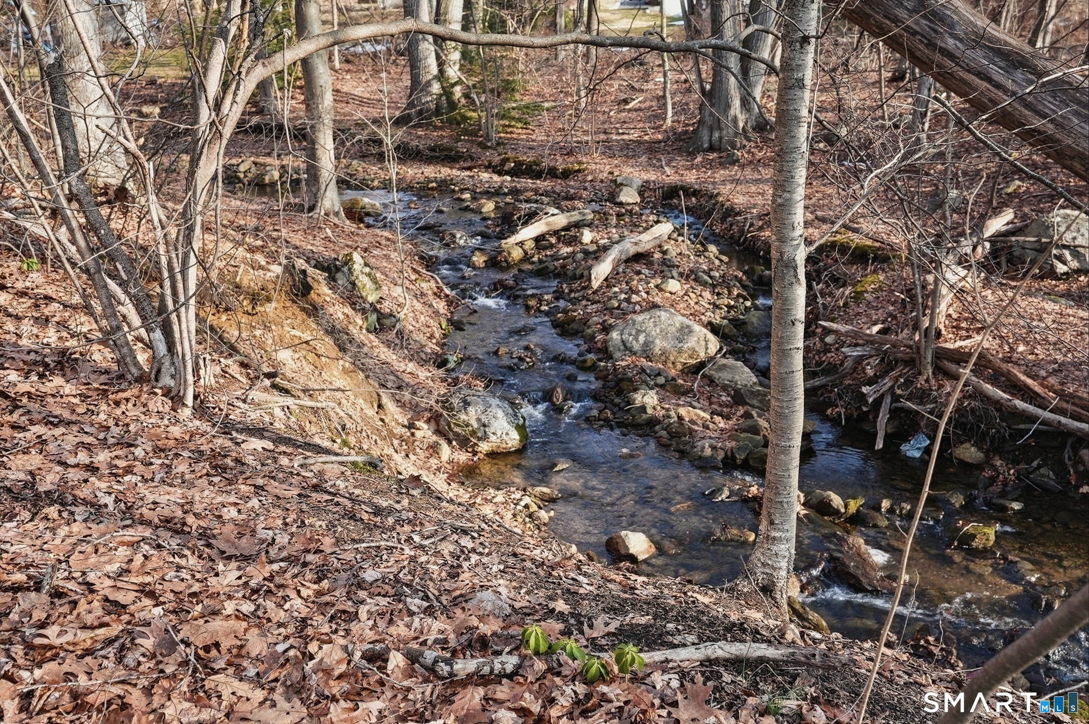 12 Longmeadow Drive Wolcott CT 06716