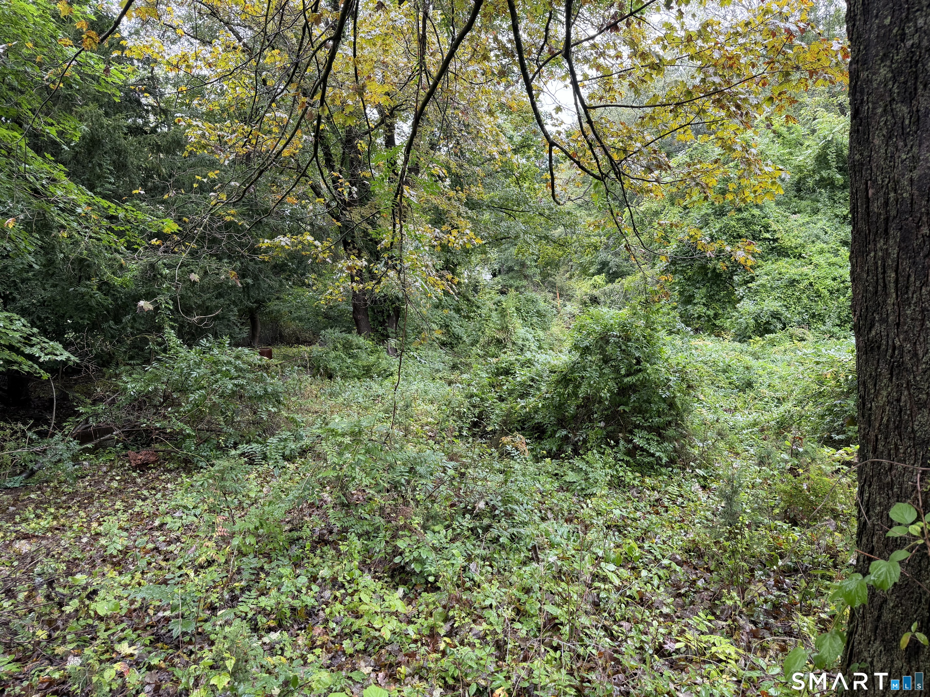 53 Cross Highway Westport CT 06880