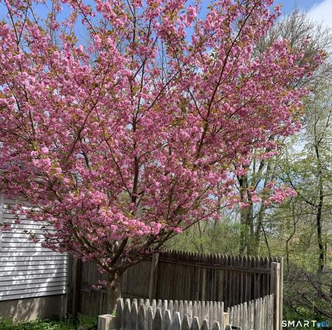 57 Hickory Hill Road Thomaston CT 06787