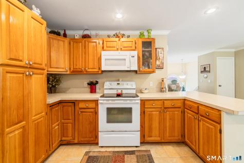 29 Evening Star Drive Seymour CT 06483