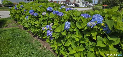 24 West Shore Drive Old Saybrook CT 06475