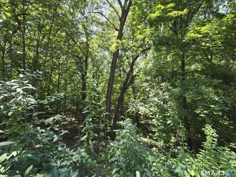 231 Crestwood Drive Naugatuck CT 06770