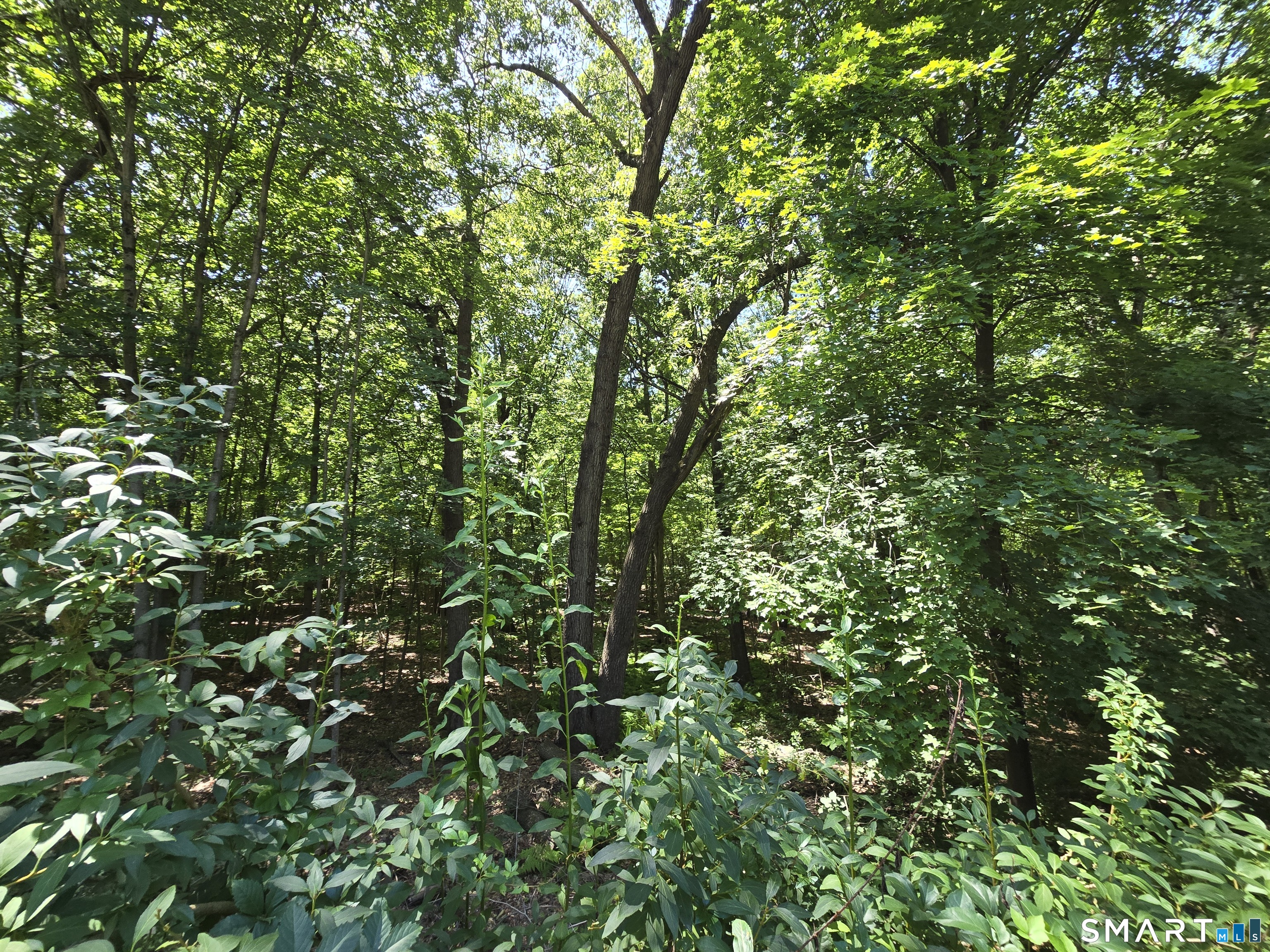 231 Crestwood Drive Naugatuck CT 06770