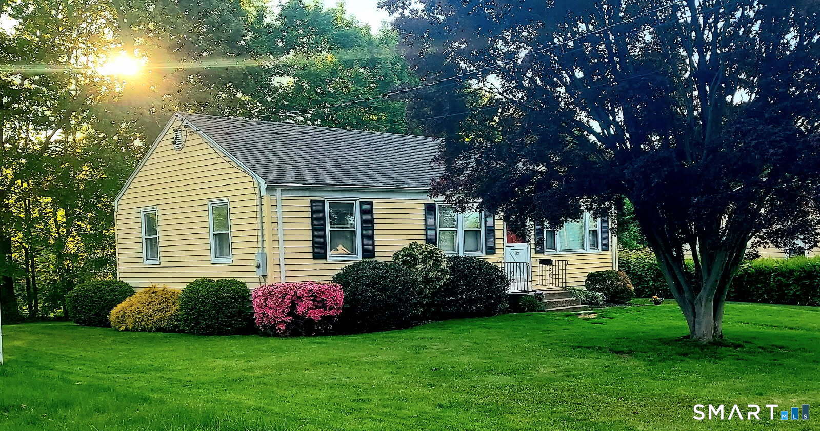 19 Litchfield Place Rocky Hill CT 06067