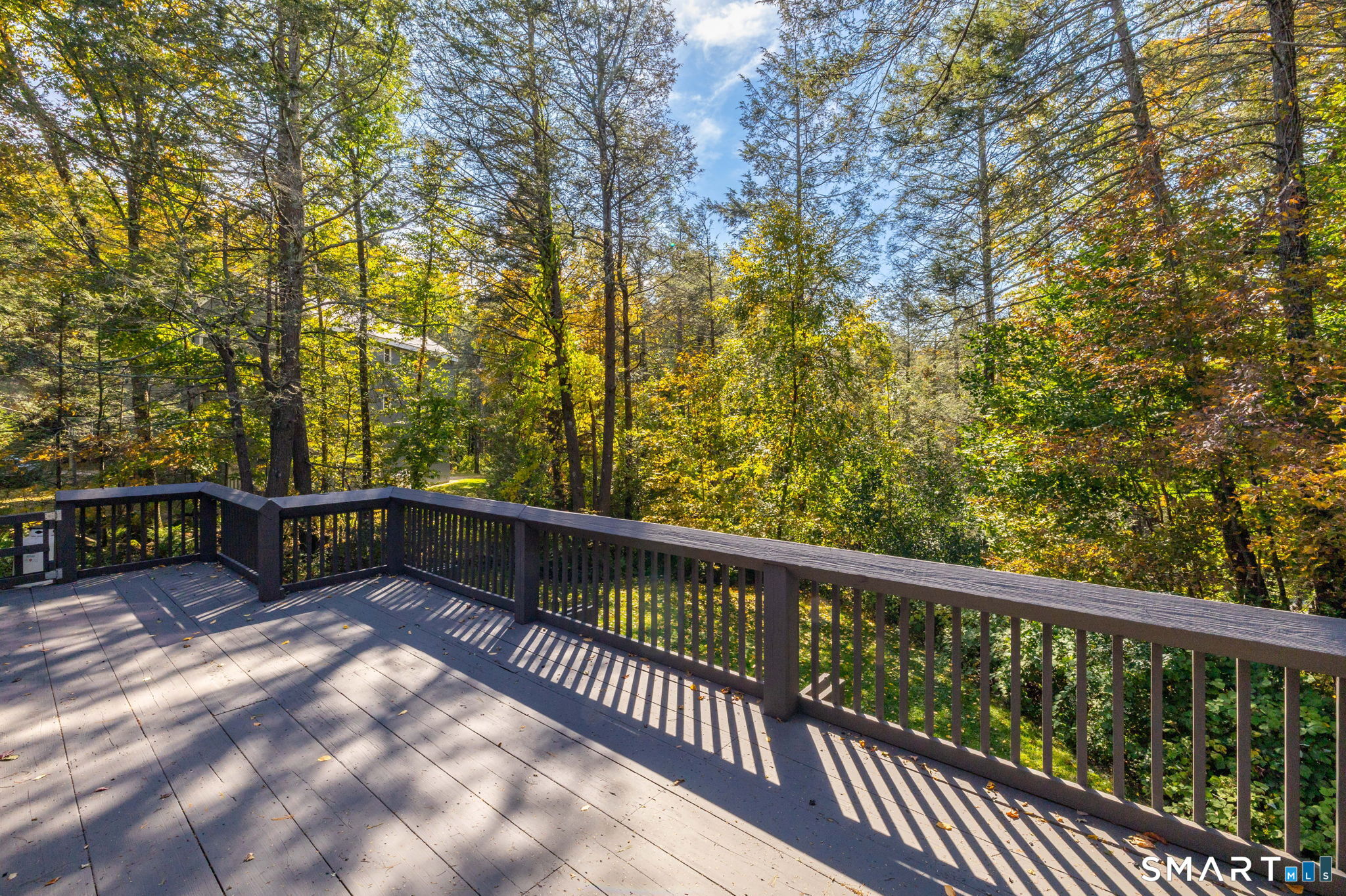 56 Shelbourne Drive Goshen CT 06756