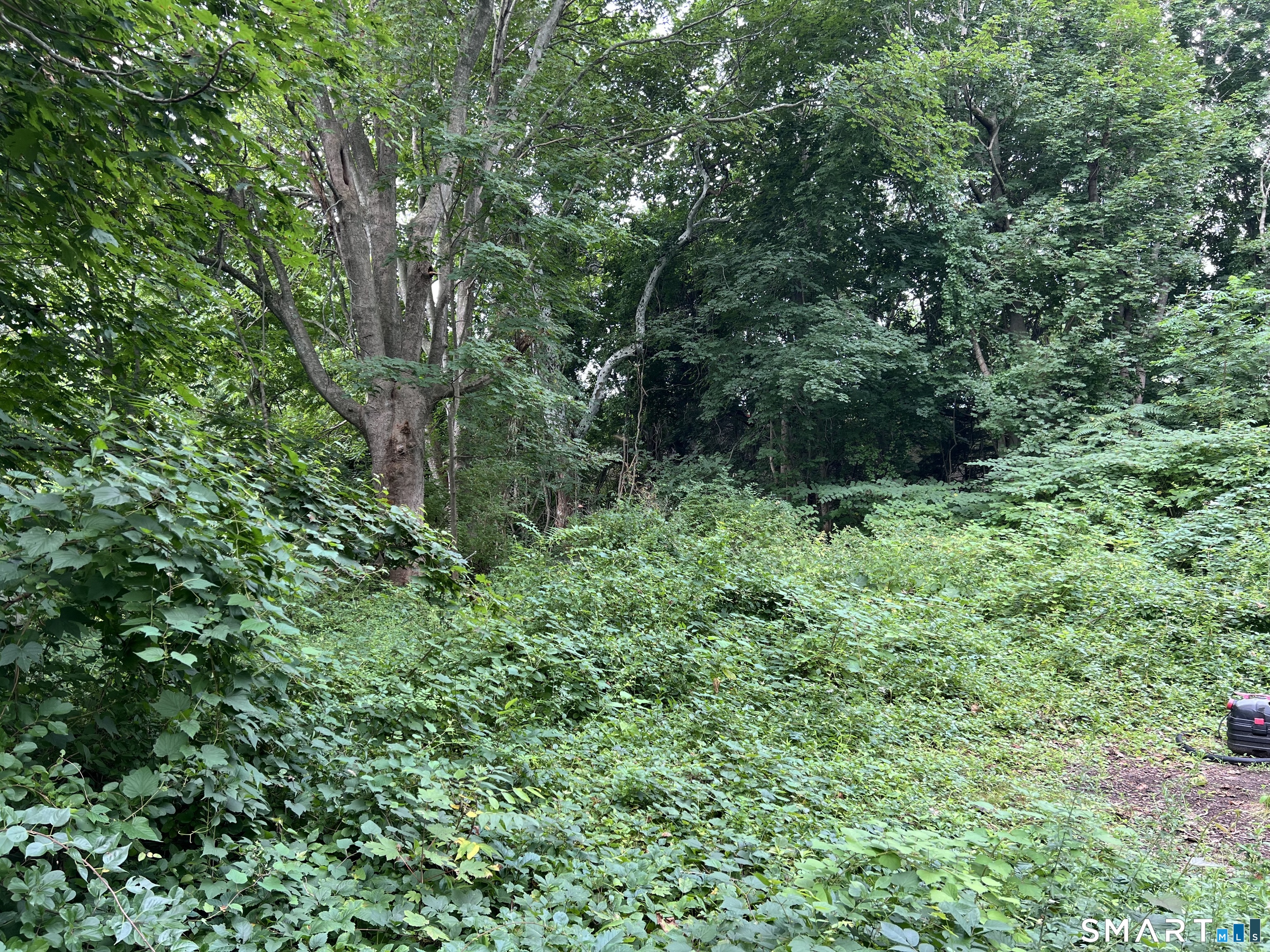 43 Quarry Street Old Saybrook CT 06475