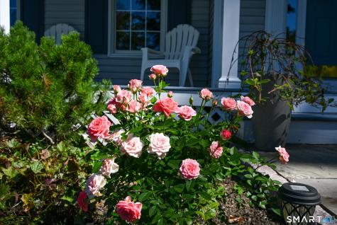 31 Bayberry Lane New Milford CT 06776