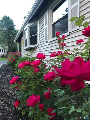 32 Jackson Road Enfield CT 06082