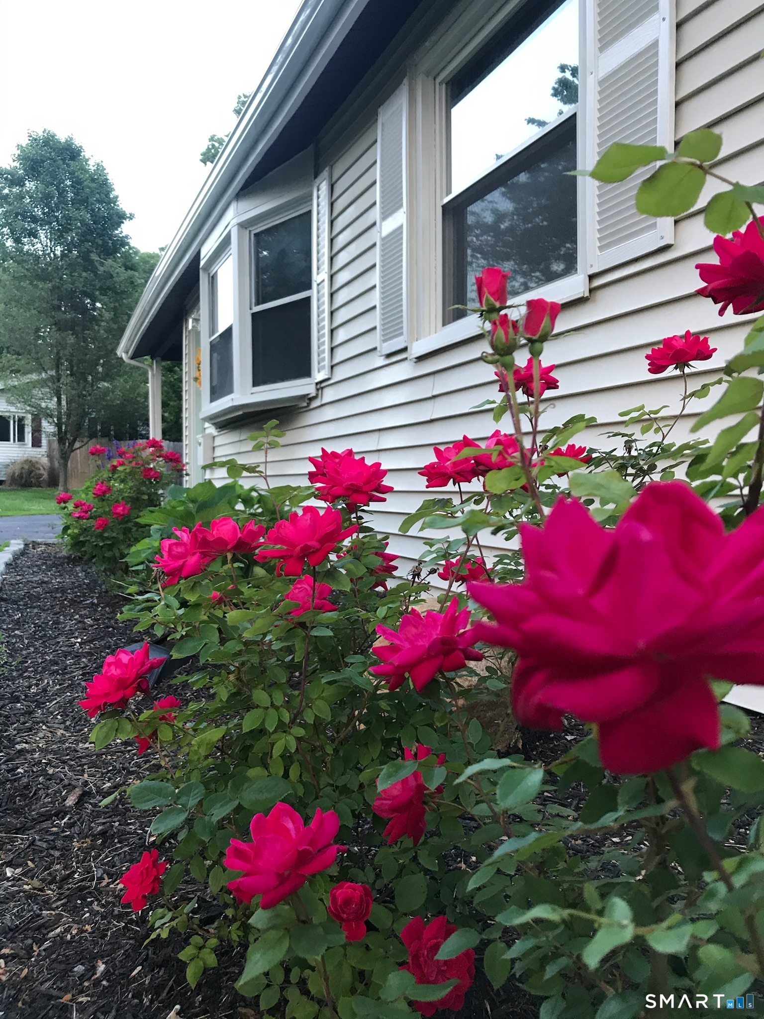 32 Jackson Road Enfield CT 06082