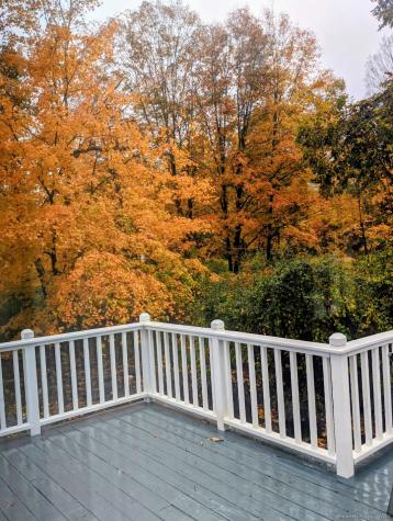 10 Hazel Plain Road Woodbury CT 06798