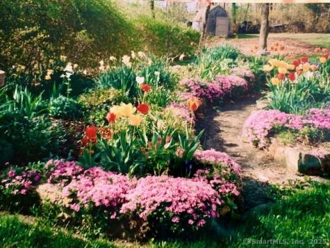 10 Eli Yale Terrace Branford CT 06405