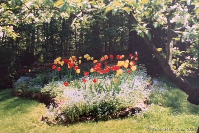 10 Eli Yale Terrace Branford CT 06405