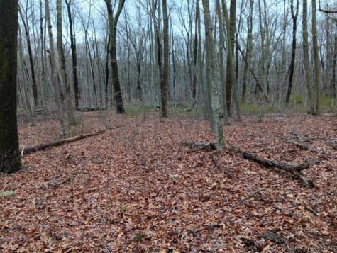 53 Shanaghans Road East Haddam CT 06423