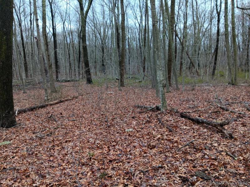 53 Shanaghans Road East Haddam CT 06423