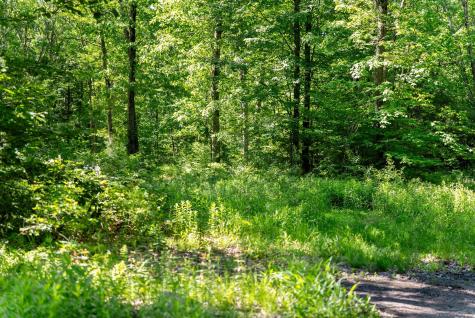 57 Henderson Road New Hartford CT 06057