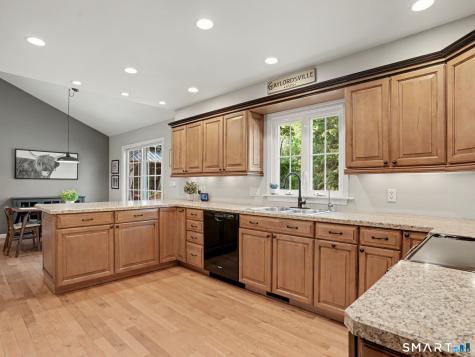 50 Meadowland Drive New Milford CT 06755