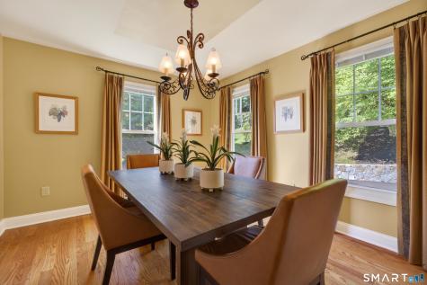 22 Scenic View Drive Newtown CT 06470