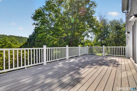 22 Scenic View Drive Newtown CT 06470