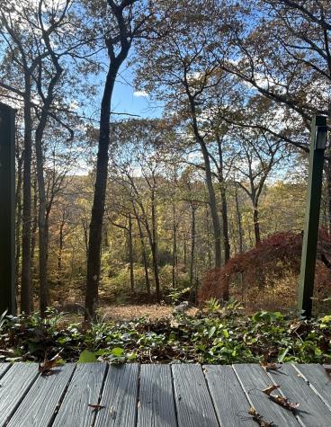 173 Chestnut Ridge Road Bethel CT 06801