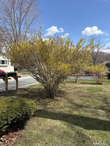 28 Woodland Trail Killingworth CT 06419