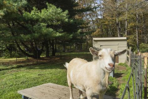 92 Minortown Road Woodbury CT 06798