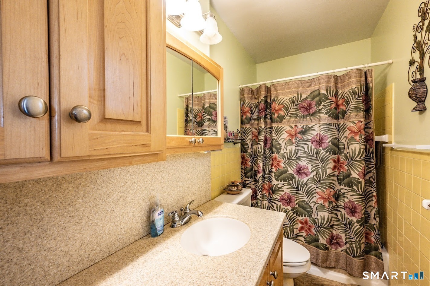 18-A Lake Shore Drive Middlefield CT 06455