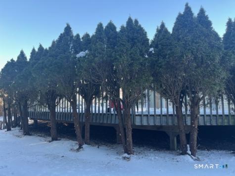 21 Carmen Street East Haven CT 06512