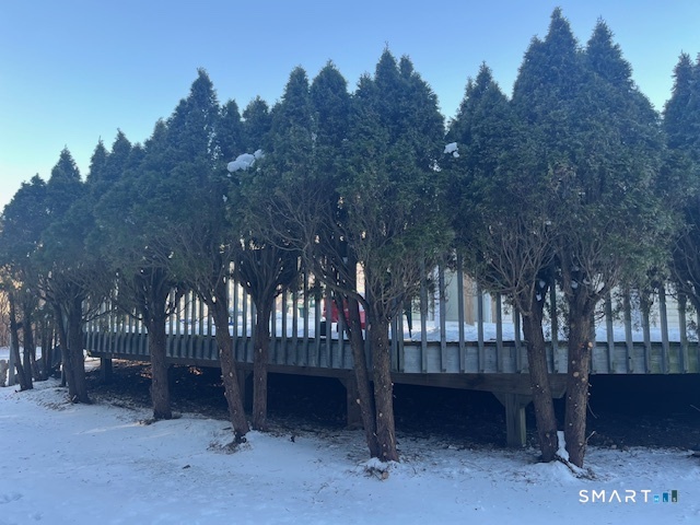 21 Carmen Street East Haven CT 06512