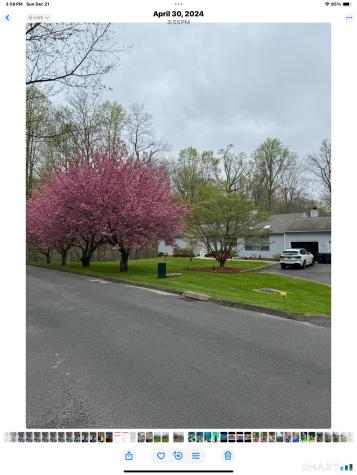 6 Katrina Circle Bethel CT 06801