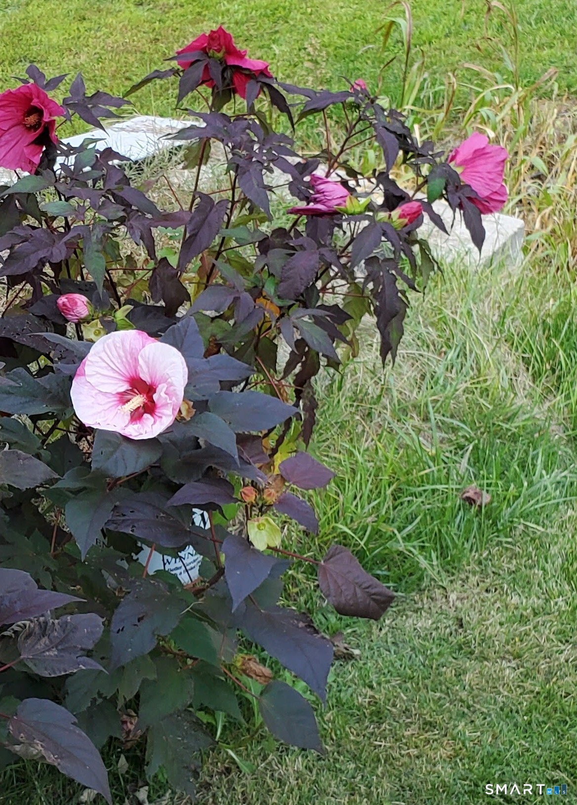 455 Chesterfield Road Montville CT 06370