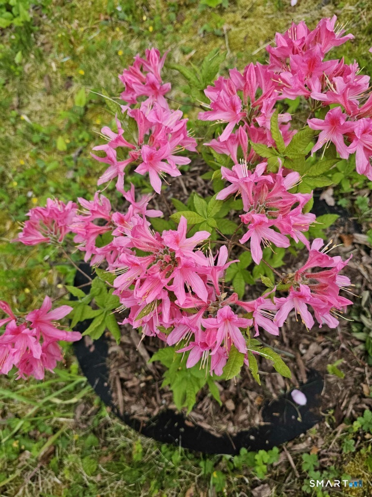 455 Chesterfield Road Montville CT 06370