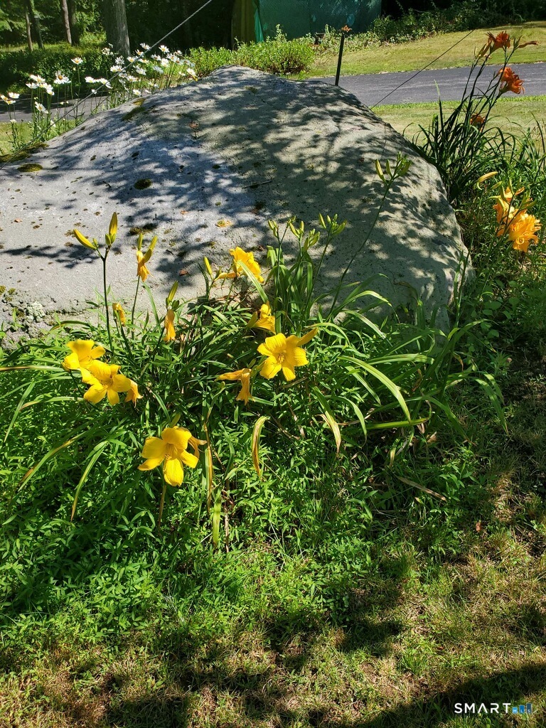 455 Chesterfield Road Montville CT 06370