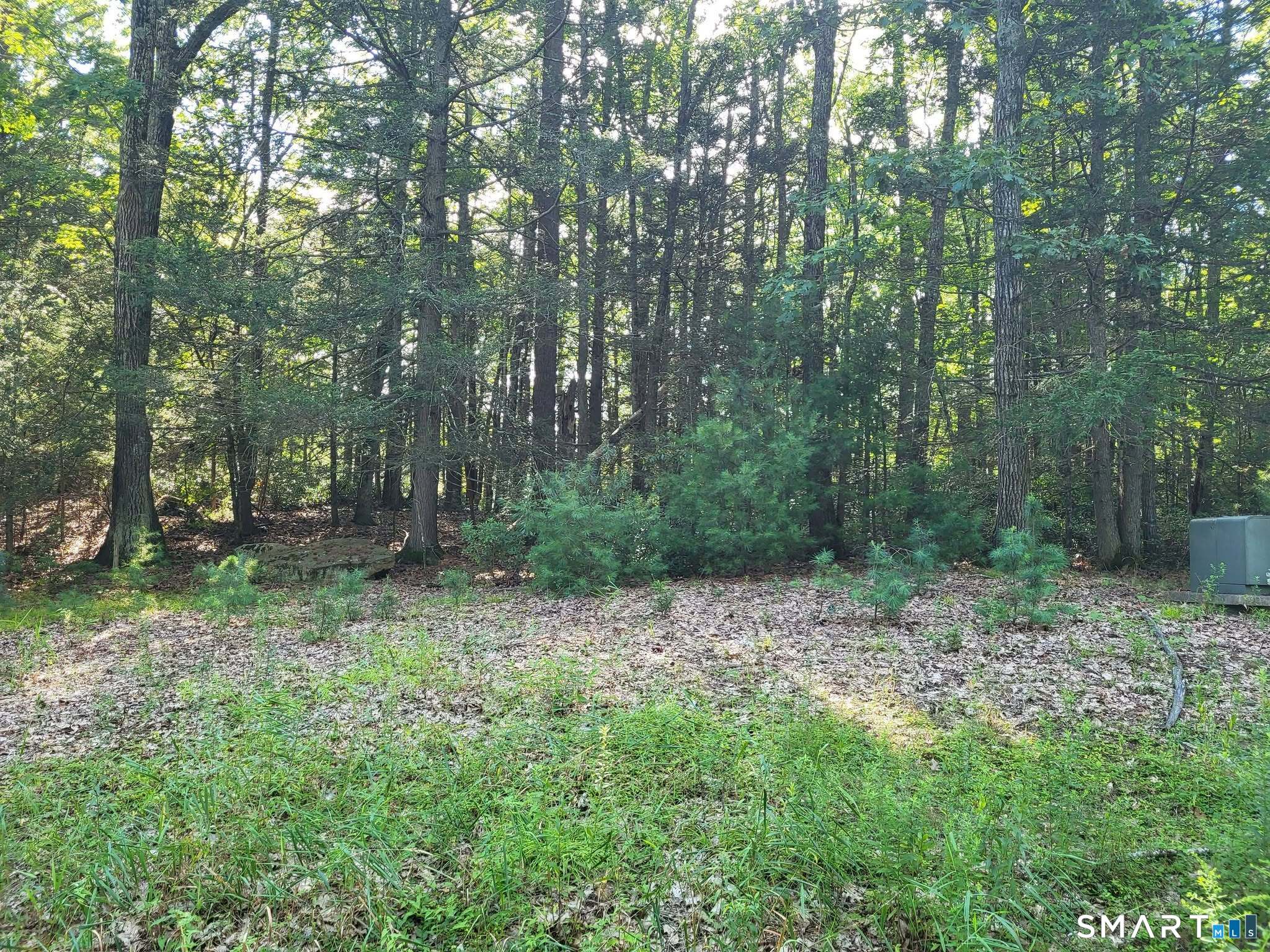 8-2 Tayler Trail Woodstock CT 06281