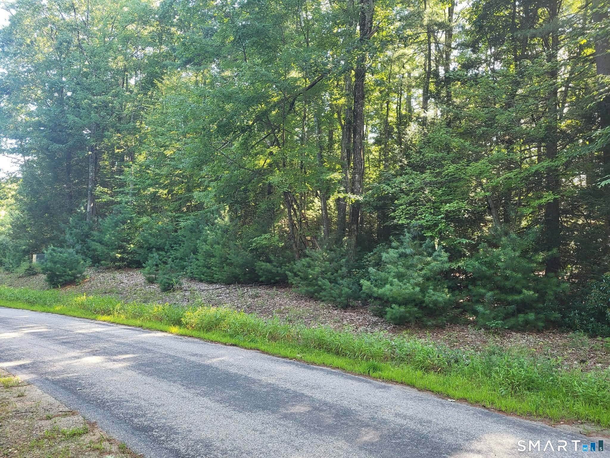 8-2 Tayler Trail Woodstock CT 06281