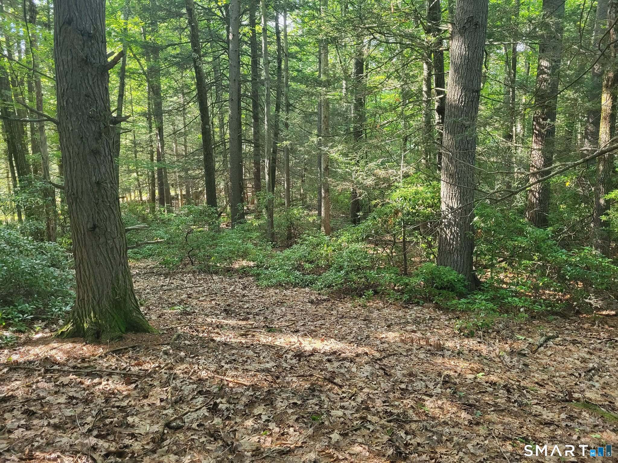 8-2 Tayler Trail Woodstock CT 06281