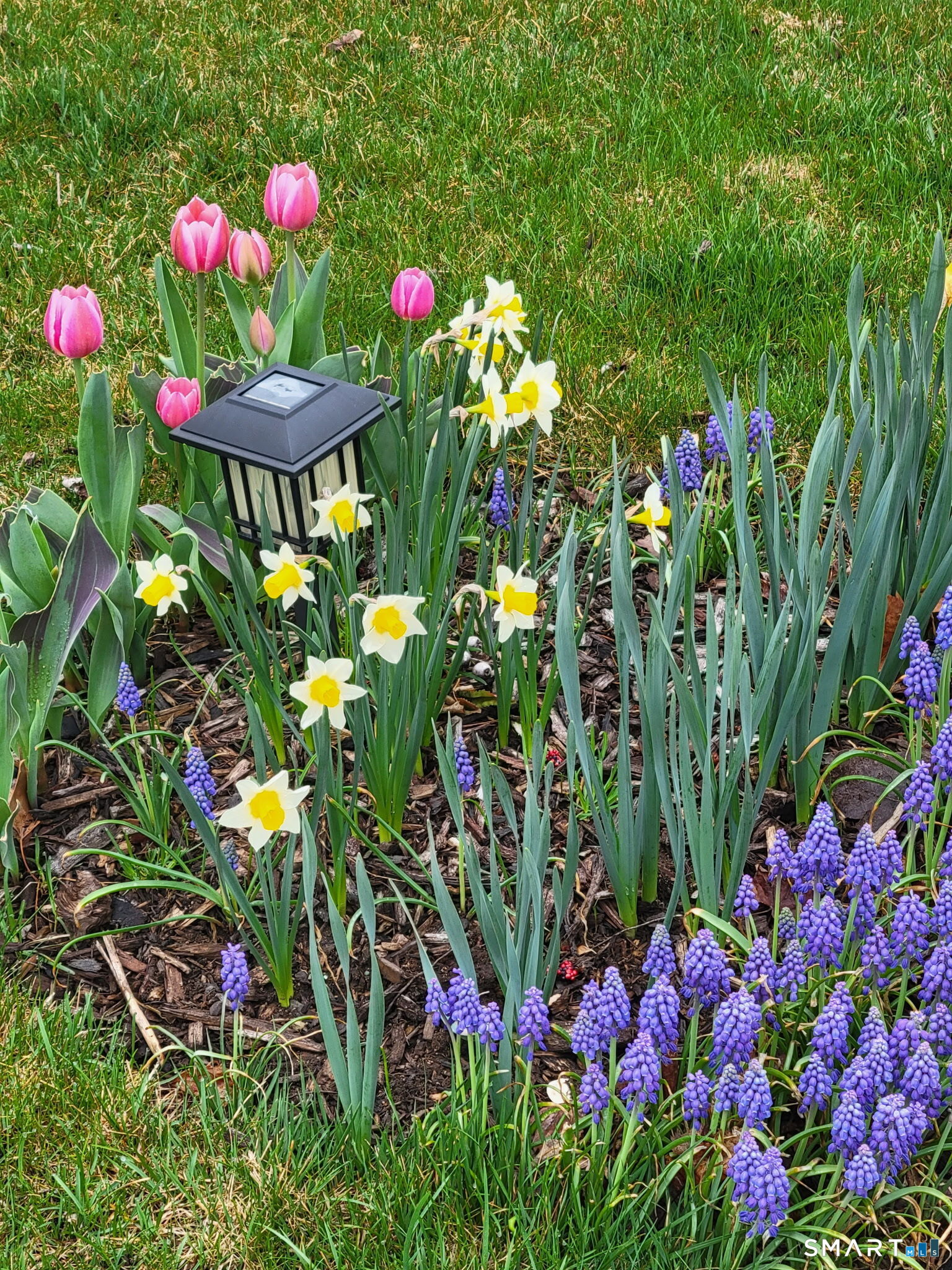 1 Jensen Court Southington CT 06489