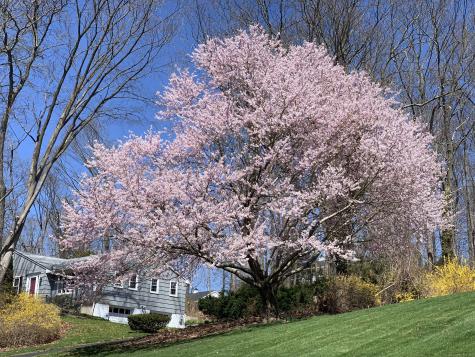 48 Meadow Wood Road Branford CT 06405