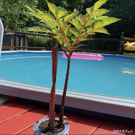 40 Hickory Hill Drive Waterbury CT 06708