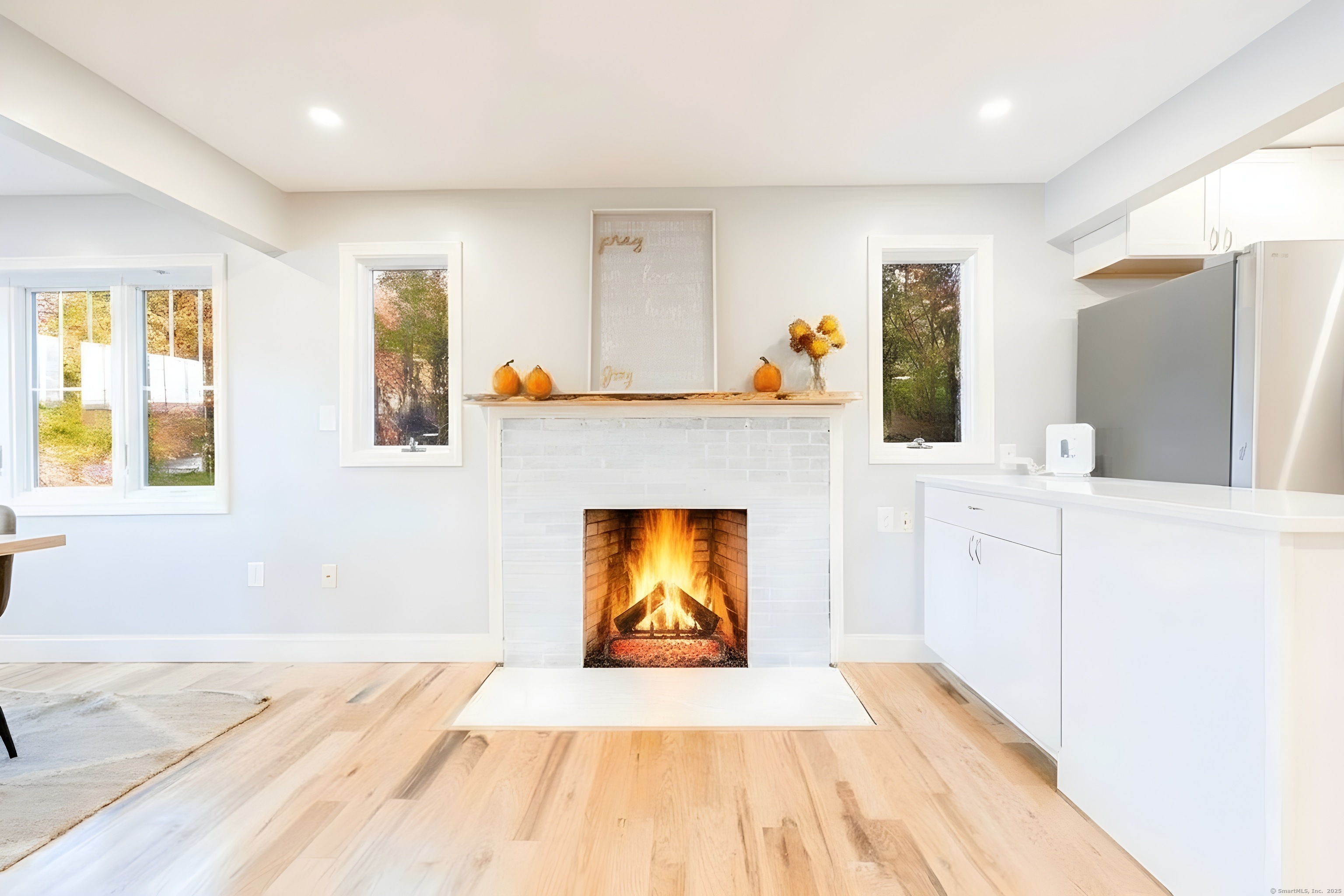 12 Armitage Court Ashford CT 06278