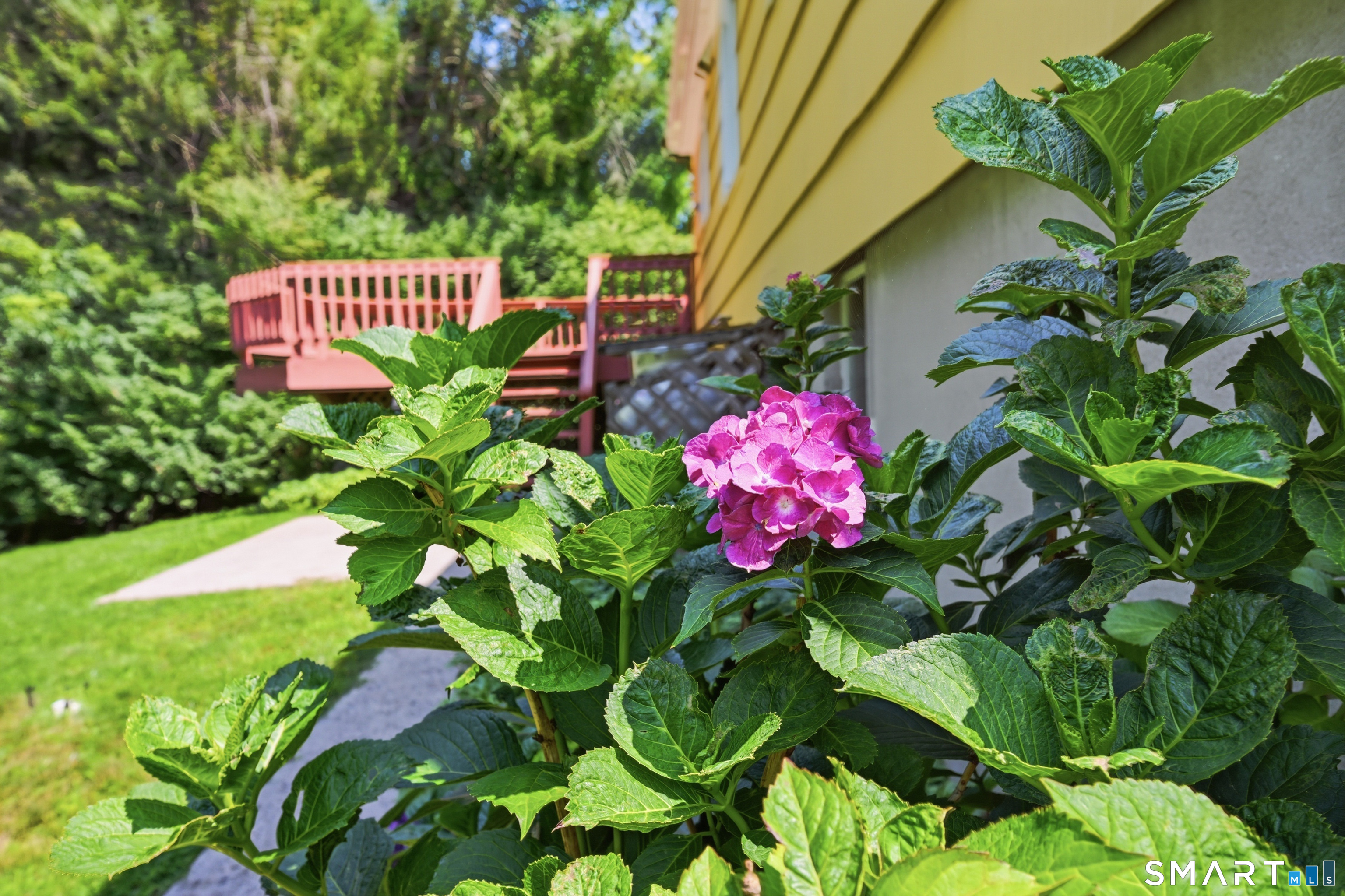 30 Maple Row Bethel CT 06801