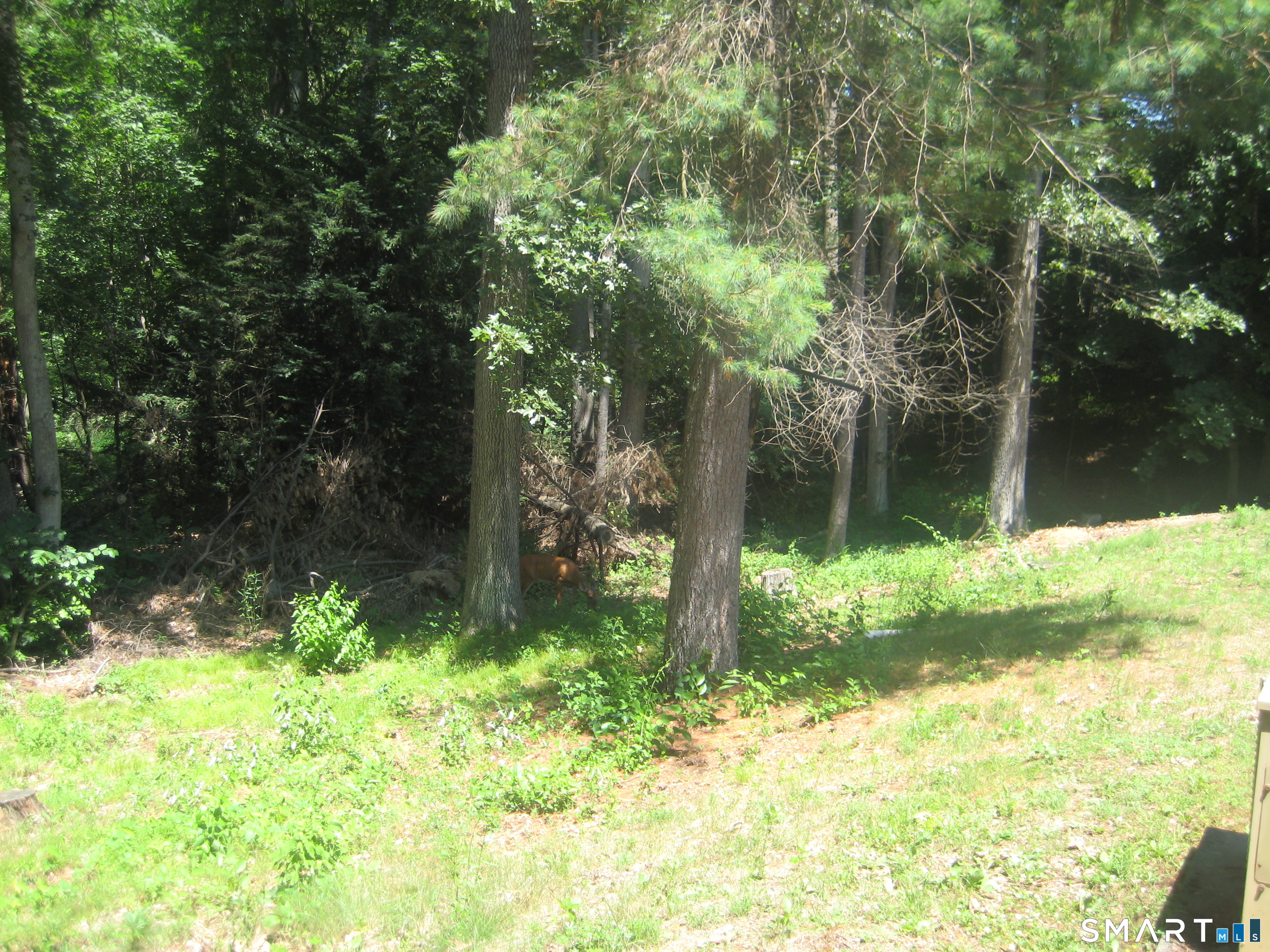 29 Barry Lane Simsbury CT 06070