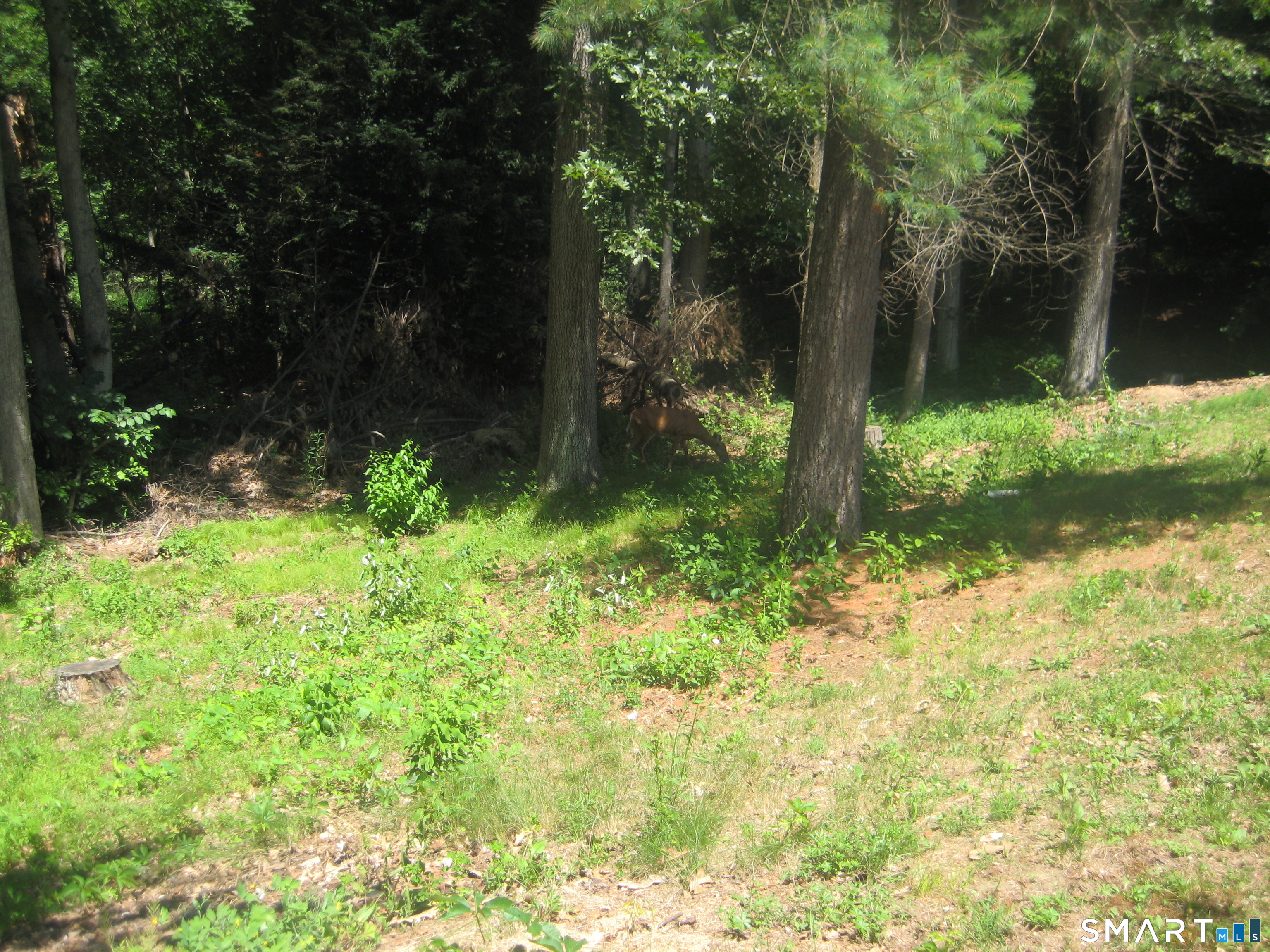 29 Barry Lane Simsbury CT 06070
