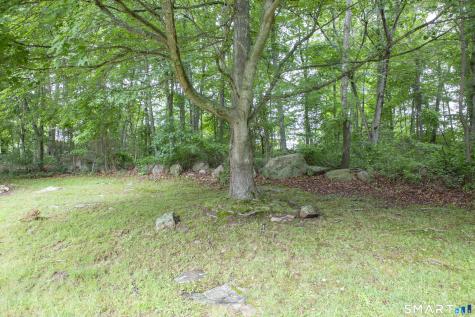 35 Pheasant Run Road Stonington CT 06378