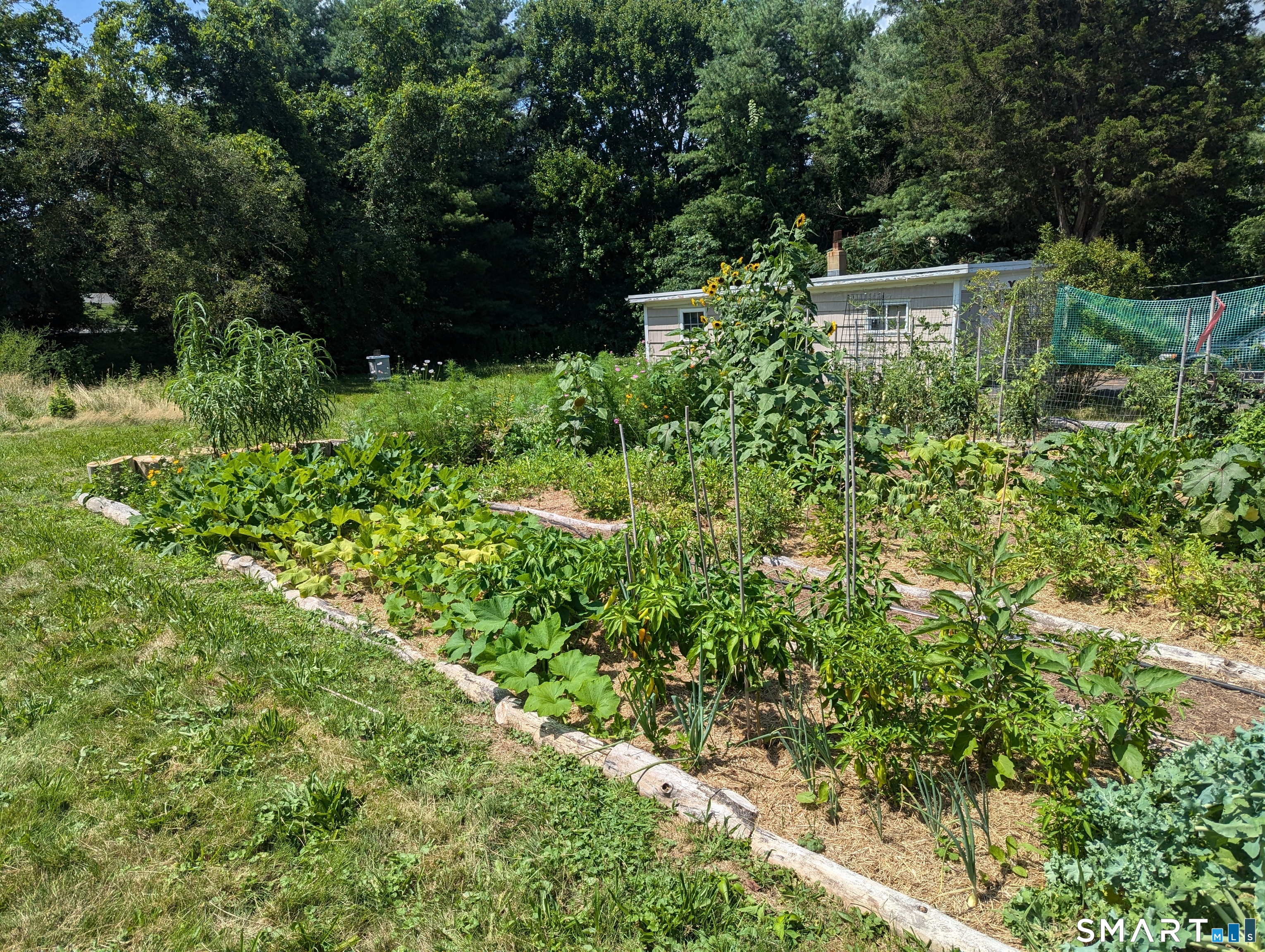 9 Rose Hill Road Branford CT 06405