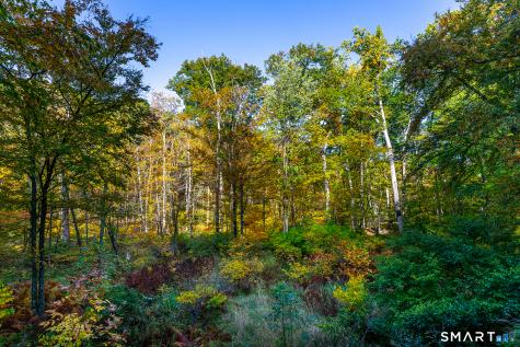 118 Green Pond Road New Milford CT 06776